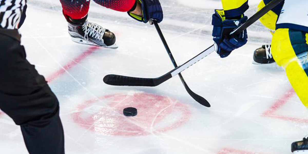 Icehockey players