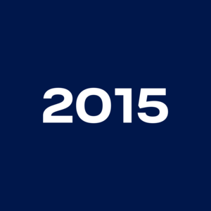 The number 2015 is placed centrally in bold, white lettering on a deep dark blue background.
